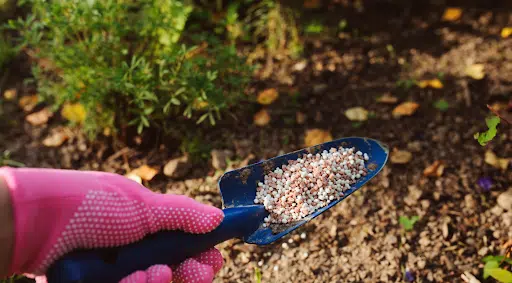 Comment créer de l’engrais naturel pour votre jardin ?