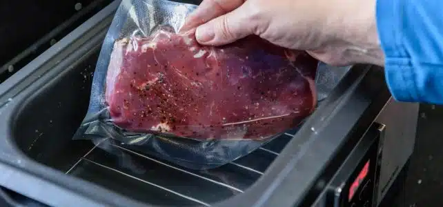 Quelle est la meilleure machine sous vide ?