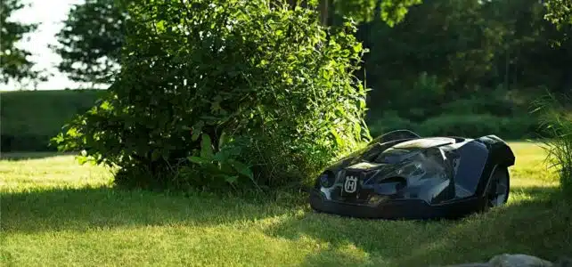 Comment entretenir sa pelouse avec une tondeuse électrique ?